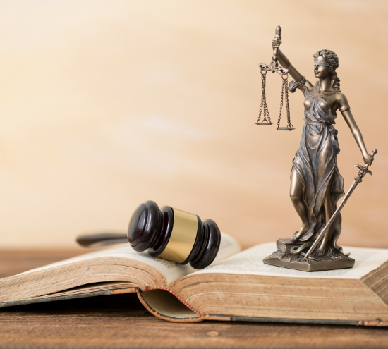 Know Your Right - The disabled and the constitution - laws for children's rights in india - schools for hearing impaired